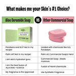 Buy Ghar Soaps Aloe Ceramide Soap Bar | Hydrating & Exfoliating with Aloe Vera, Oats & Natural Ceramides | Toxin-Free, Gentle Glow for All Skin Types – 100 gm - Purplle