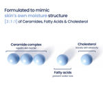 Buy WishCare 3:1:1 Barrier Bounce Moisturiser for all Skin Types|Non-Comedogenic|Barrier Repair - 50 ml - Purplle