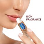 Buy Vaseline Lip Care Cocoa Butter 10 g - Purplle