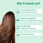 Buy Aravi Organic Rosemary Anti-Hairfall Shampoo | Hair Growth & Hairfall Control | Up to 94% Stronger Hair | Sulfate-Free | Suitable for Men & Women | For All Hair Types – 200 ml - Purplle