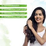 Buy Mamaearth Tea Tree Hair Oil with Tea Tree Oil & Ginger for Dandruff Free Hair a€“ 250 ml - Purplle