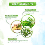 Buy Mamaearth Tea Tree Hair Oil with Tea Tree Oil & Ginger for Dandruff Free Hair a€“ 250 ml - Purplle