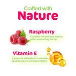 Buy Mamaearth Nourishing Tinted 100% Natural Lip Balm with Vitamin E and Raspberry for Dry & Chapped Lips - 4 gm - Purplle