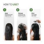 Buy Bare Anatomy Anti-Dandruff Duo (Salicylic Acid & Biotin Shampoo & Conditioner) - (250 ml + 175 ml) - Combo of 2 - Purplle