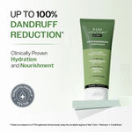 Buy Bare Anatomy Anti-Dandruff Duo (Salicylic Acid & Biotin Shampoo & Conditioner) - (250 ml + 175 ml) - Combo of 2 - Purplle