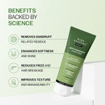 Buy Bare Anatomy Anti-Dandruff Duo (Salicylic Acid & Biotin Shampoo & Conditioner) - (250 ml + 175 ml) - Combo of 2 - Purplle