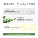 Buy Bare Anatomy Anti-Dandruff Duo (Salicylic Acid & Biotin Shampoo & Conditioner) - (250 ml + 175 ml) - Combo of 2 - Purplle