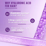 Buy L'Oreal Paris Hyaluron Moisture Hair Care Duo 1 (Hyaluron Moisture 72H Moisture Shampoo (200 ml) Hyaluron Moisture 72H Moisture Conditioner (175 ml) Combo of 2 - Purplle