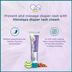Buy Himalaya Baby Diaper Rash Cream 100 gm - Purplle