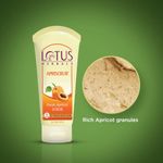 Buy Lotus Herbals Apriscrub Fresh Apricot Scrub | Natural Exfoliating Face Scrub | Chemical Free | For All Skin Types | 100g - Purplle