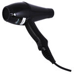 Buy Roots Professional Champion CD2K Hair Dryer - Purplle