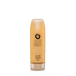 Buy Living Proof Live Cell Cleanser Complete (150 ml) - Purplle