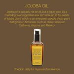 Buy Nyassa Cold Pressed Jojoba Oil (100 ml) - Purplle