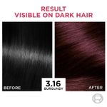 Buy L'Oreal Paris Excellence Creme Triple Care Colour 316 Burgundy - Purplle
