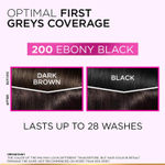 Buy L'Oreal Paris Casting Creme Gloss Hair Color With Glycolic Gloss Complex | Shade 200 - Ebony Black | 60ml + 40ml + 60g - Purplle