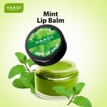 Buy Vaadi Herbals Lip Balm Mint Super Value Pack Of 8 (6 + 2 Free) (10 g X 8) - Purplle