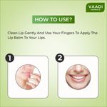 Buy Vaadi Herbals Lip Balm Mint Super Value Pack Of 8 (6 + 2 Free) (10 g X 8) - Purplle