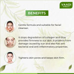 Buy Vaadi Herbals Blueberry Facial Bar with Extract of Mint (25 g) (Pack of 4) - Purplle
