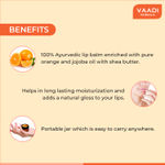 Buy Vaadi Herbals Orange & Shea Butter Lip Balm Value Pack Of 4 (4 X 10 g) - Purplle