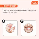 Buy Vaadi Herbals Orange & Shea Butter Lip Balm Value Pack Of 4 (4 X 10 g) - Purplle