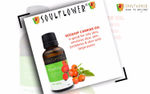 Buy Soulflower Cold Pressed Rosehip Carrier Oil (30 ml) - Purplle