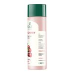 Buy Biotique Winter Cherry Rejuvenating Body Nourisher (190 ml) - Purplle