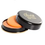 Buy Olivia Waterproof Pan Cake Dark Beige 28 (25 g) - Purplle