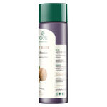Buy Biotique Walnut Bark Volumizing Shampoo (190 ml) - Purplle