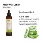 Buy Rica Aloevera After Waxing Lotion (250 ml) - Purplle