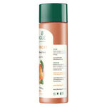 Buy Biotique Bio Apricot Refreshing Body Wash (190 ml) - Purplle