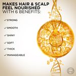 Buy L'Oreal Paris 6 Oil Nourish Shampoo (360 ml) - Purplle