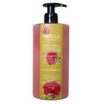 Buy Nyassa Hibiscus Shampoo (500 ml) - Purplle