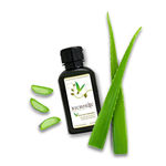 Buy Richfeel Aloe Vera Shampoo (100 ml) - Purplle