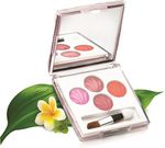 Buy Lotus Make Up Eco Stay Long Lasting Eye Shadow Rainbow Passion 24 (8 g) - Purplle
