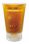 Buy The Natures Co. Aloe Vera After Sun Gel (125 ml) - Purplle