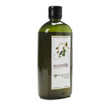 Buy Richfeel Brahmi Jaborandi Hair Oil (500 ml) - Purplle