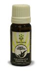 Buy Vedic Delite Pure Eucalyptus Essential Oil (10 ml) - Purplle