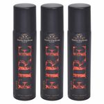 Buy Vincent Valentine Set of 3 Dark Fire Deodorants (160 ml each) - Purplle