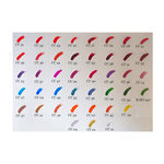 Buy Lakme True Wear Color Crush Nail Color Orange 52 (9 ml) - Purplle