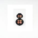 Buy Faces Canada Glam On Color Perfect Eye Shadow Captivate 01 (6 g) - Purplle