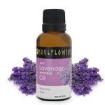Buy Soulflower Essential Oil Lavender (30 ml) - Purplle