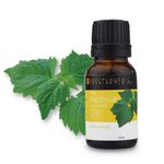 Buy Soulflower Essential Oil Patchouli (15 ml) - Purplle