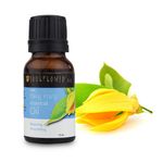 Buy Soulflower Essential Oil Ylang Ylang (15 ml) - Purplle