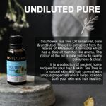 Buy Soulflower Essential Oil Tea Tree (30 ml) - Purplle