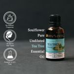 Buy Soulflower Essential Oil Tea Tree (30 ml) - Purplle