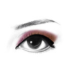 Buy Lakme 9 To 5 Eye Quartet Eyeshadow - Desert Rose (7 gm) - Purplle