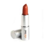 Buy SoulTree Lipstick Deep Blush 820 (4.5 g) - Purplle