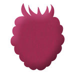 Buy Stay Quirky Nail Polish, Lush Pink 1000 (8 ml) - Purplle