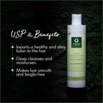 Buy Organic Harvest Extra Conditioning Shampoo (225 ml) - Purplle