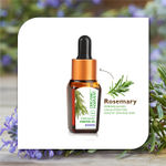 Buy Organic Harvest Rosemary (10 ml) - Purplle